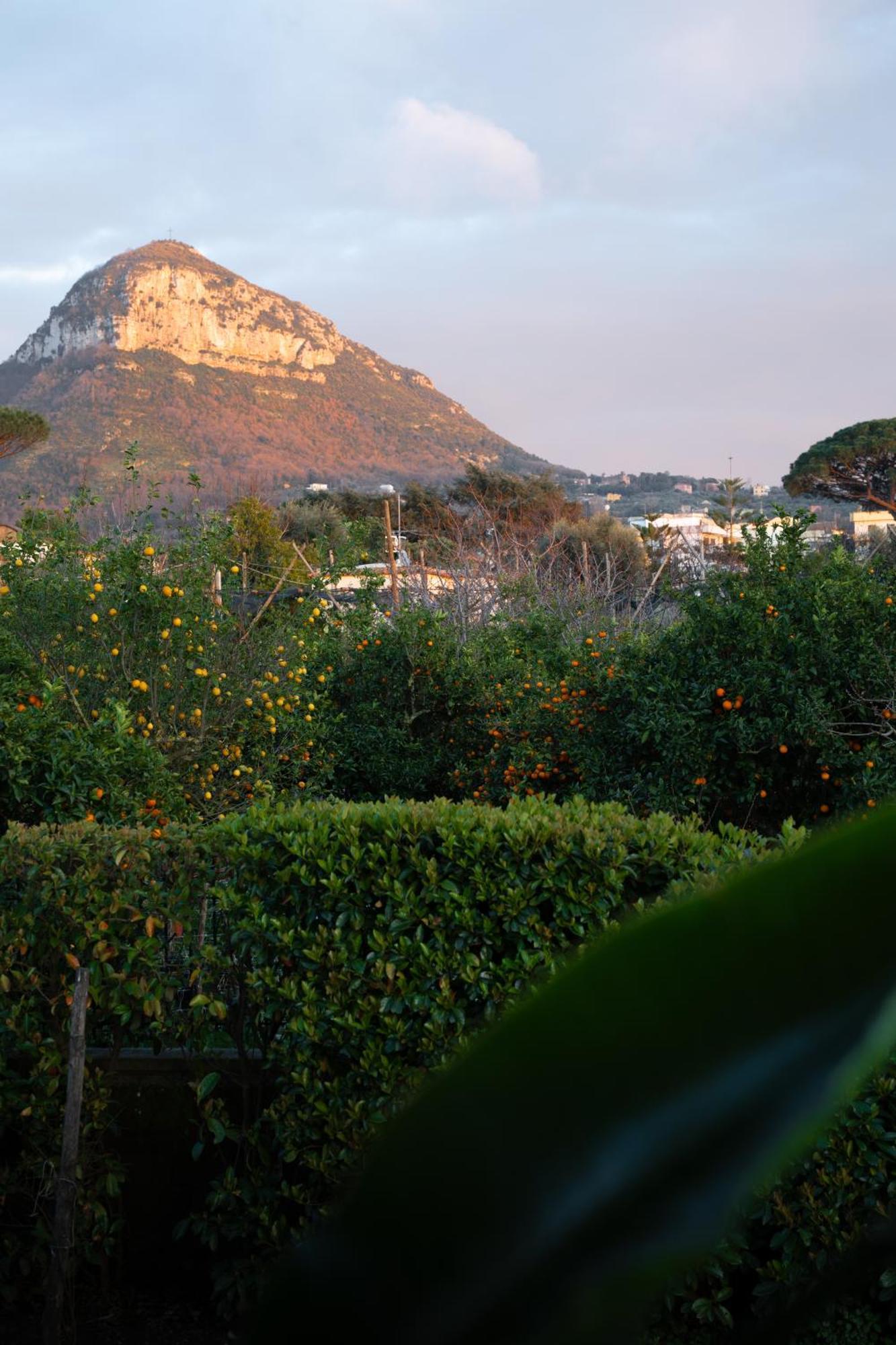 Aparthotel 1912 Relais - Sorrento Coast Piano di Sorrento Esterno foto